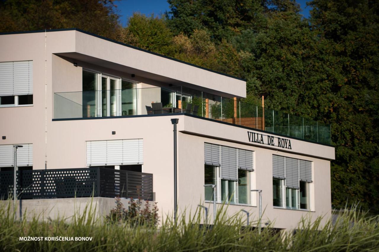 Villa De Roya 罗加斯卡斯拉提纳 外观 照片